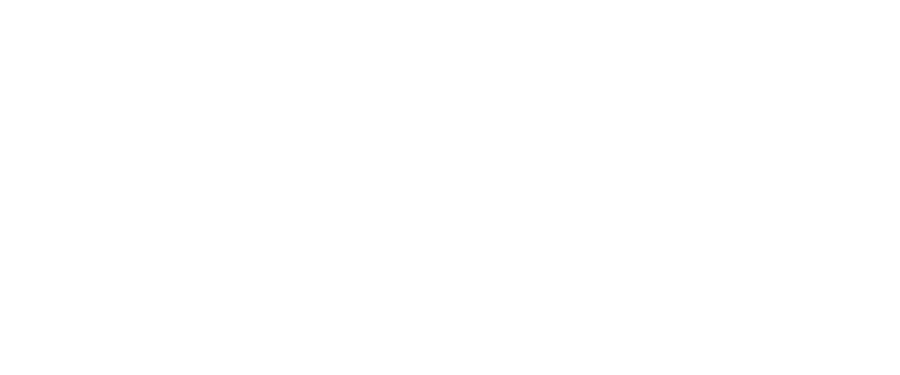 Bridger srl